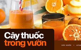 Món ăn, bài thuốc siêu hay từ quả cam - Cam đang mùa rộ, không tận dụng thật đáng tiếc!