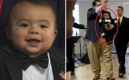 Thị trưởng đáng yêu nhất nước Mỹ: Nhậm chức lúc 7 tháng tuổi, công việc chính chỉ là ăn, chơi, ngủ và... lan tỏa tình yêu