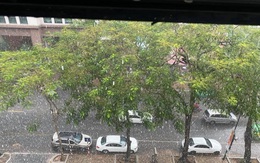 'Con mưa vàng' trút xuống Hà Nội, đánh tan bầu không khí mịt mờ khói bụi