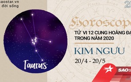 Xem tử vi cung Kim Ngưu năm 2020: Nhiều khởi sắc về tình cảm, sự nghiệp có khả năng sẽ rẽ hướng mới