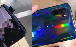 Smartphone tiếp theo của Vsmart lộ diện với camera thò thụt, màn hình không 'khuyết tật'