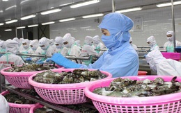Bộ Công Thương công bố 34 mặt hàng tỷ đô, Việt Nam xuất siêu 10 tỷ USD