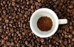 Bloomberg: Ngành cà phê Việt Nam tham vọng tăng gấp đôi giá trị xuất khẩu lên 6 tỷ USD, đẩy mạnh cà phê hòa tan cạnh tranh với ông lớn Nestle