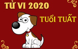 4 tháng phát tài của người tuổi Tuất trong năm Canh Tý 2020: Dư dả không thiếu tiền tiêu!