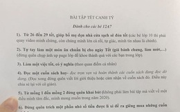 Bài tập Tết "chưa từng có" của học sinh Nam Định, đọc xong ai cũng gật gù khen giáo viên tinh tế