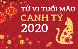 Vận mệnh của người tuổi Mão trong năm Canh Tý 2020: Có quý nhân kề bên, trái ngọt đến vào phút cuối