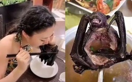 Đại dịch corona: Nữ MC Trung Quốc bị tẩy chay, cựu sao TVB bức xúc vì bị ép ăn thịt dơi