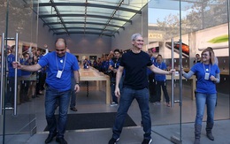 Năm 2019, Tim Cook được Apple trả 11,6 triệu USD, cao gấp 200 lần nhân viên