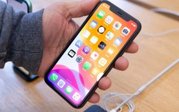Tin đồn: Apple có thể sắp "mắn đẻ" như Samsung khi dự kiến ra mắt tới 6 model iPhone trong năm 2020?