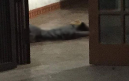 Người đàn ông sống độc thân tử vong bất thường dưới sàn nhà ở Thái Nguyên