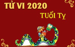 Tử vi tuổi Tỵ năm Canh Tý 2020: Nên đề phòng kẻ tiểu nhân chơi xấu và nguy cơ bị giáng chức