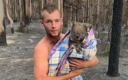 Giải cứu gấu Koala khỏi bão lửa kinh hoàng, chàng thanh niên 22 tuổi trở thành người hùng