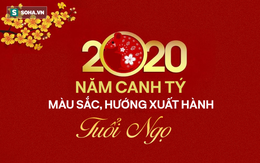 Màu sắc, hướng xuất hành may mắn mang lại tài lộc cho tuổi Ngọ trong năm Canh Tý 2020