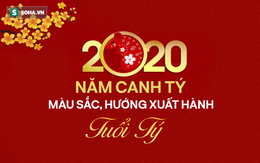 Màu sắc, hướng xuất hành may mắn mang lại tài lộc cho tuổi Tý trong năm Canh Tý 2020