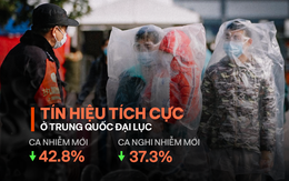 Số ca khỏi bệnh tăng lên 10.6% ở Trung Quốc, ngân hàng lớn nhất Singapore sơ tán 300 nhân viên vì 1 ca nhiễm bệnh