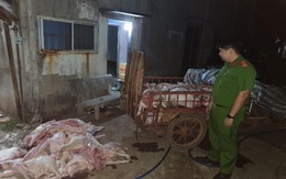Mua lợn chết giá 50.000 đồng/con xẻ thịt bán cho công nhân
