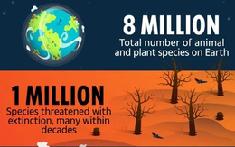 Trái Đất sẽ mất 1/3 các loài động vật và thực vật trong 50 năm nữa?