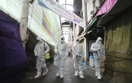 Hàn Quốc: 28.000 người có triệu chứng cúm ở tâm dịch Daegu sẽ được kiểm tra y tế