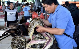 24h qua ảnh: Chủ cửa hàng xẻ thịt trăn tại chợ thú nổi tiếng Indonesia