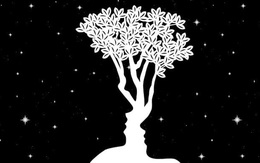 Hình ảnh nhìn thấy trước tiên cho thấy bạn "đắm đuối" thế nào trong tình yêu