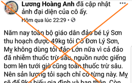 Facebook Lương Hoàng Anh bôi nhọ tỏi Lý Sơn, Quảng Ngãi đề nghị Bộ Công an vào cuộc