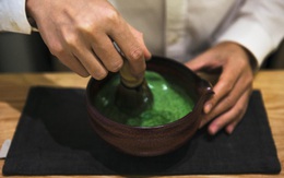 Tác dụng tuyệt vời của tảo Spirulina để bảo vệ sức khỏe
