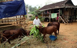 3 bí quyết giúp Viettel cùng người dân xóa nghèo bền vững