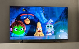 Tận hưởng những ngày hè sôi động bên gia đình cùng TV Sony