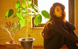 NÓNG: Nữ ca sĩ Chungha phải tự cách ly sau khi hai nhân viên của cô chính thức được xác nhận nhiễm Covid-19