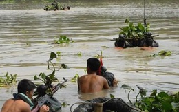 Chiến trường K: Quân tình nguyện Việt Nam chiến đấu với dơi quỷ và những bóng ma Khmer Đỏ