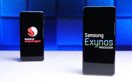 Người dùng tạo đơn thỉnh cầu trực tuyến yêu cầu Samsung dừng sử dụng chip Exynos