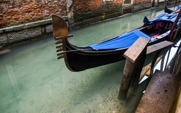 7 ngày qua ảnh: Dòng kênh ở Venice sạch chưa từng thấy nhờ Covid-19