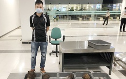 Hành khách mang 29 kg nghi sừng tê giác từ Hàn Quốc về Cần Thơ