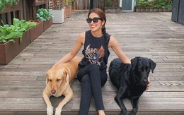 Làm vợ đại gia nhưng Hà Tăng lại có sở thích cực giản dị: Sáng ra chăm bẵm khu vườn nhỏ rồi ngắm thành quả là đủ vui!