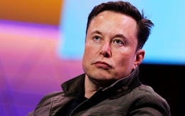 Elon Musk: 'Hoảng loạn vì virus corona là ngu ngốc'