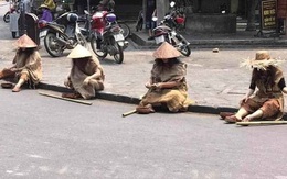 Vợ ông Phan Văn Anh Vũ và người thân bị phạt 67,5 triệu đồng sau vụ giả ăn xin để 'câu view, câu like' giữa dịch Covid-19