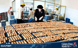 Doanh nghiệp trứng gà Ba Huân mất kênh bán hàng ở trường học, nhà hàng nhưng tăng ở siêu thị, 800 nhân viên vừa lo làm vừa lo chống dịch