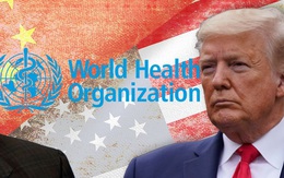 COVID-19: Giới chuyên gia bức xúc, gọi quyết định cắt tài trợ cho WHO của TT Trump là "thiển cận"