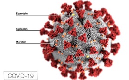 "Khối cầu gai" khuynh đảo thế giới: Thấy gì từ bức hình minh họa 3D nổi tiếng của virus SARS-CoV-2?