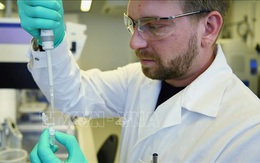 G20 cam kết chi hơn 7.000 tỷ USD để đối phó dịch COVID-19