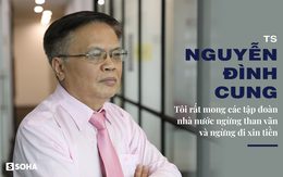 TS Nguyễn Đình Cung: “Tôi rất mong các tập đoàn nhà nước ngừng than vãn và ngừng xin tiền”