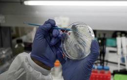 Điều gì xảy ra nếu thế giới vẫn chưa tìm ra vaccine ngừa Covid-19?