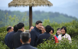 Covid-19: Sự "bất thường" đằng sau những chuyến thị sát thông thường của giới lãnh đạo Trung Quốc