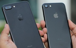 iPhone 7 Plus, iPhone 8 tiếp tục giảm 'kịch sàn', giá thấp chưa từng có