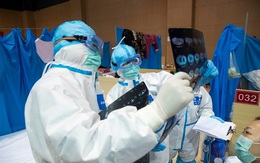 Bộ phận cơ thể nào của người mắc Covid-19 bị virus Sars-CoV-2 gây tổn thương kinh khủng nhất?