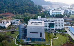 Covid-19: Lãnh đạo phòng thí nghiệm "tâm điểm nghi ngờ" ở Vũ Hán nêu lý do không thể tạo ra SARS-Cov-2