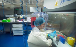 Nhà Trắng ra lệnh điều tra Trung Quốc và WHO liên quan tới Covid-19