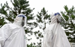 11 ngày liên tiếp Việt Nam không có ca Covid-19 mới lây trong cộng đồng