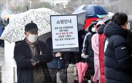 1 nữ lao động người Việt tại Hàn mắc Covid-19, ĐSQ Việt Nam đề nghị HQ hỗ trợ điều trị