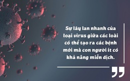 Những bằng chứng khủng khiếp chứng minh biến đổi khí hậu đã giải phóng virus bệnh tật từ động vật hoang dã vào con người